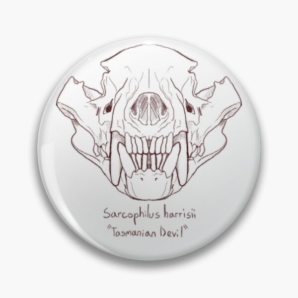 Item preview, Tasmanian devil Skull designed and sold by GrilledRetro.