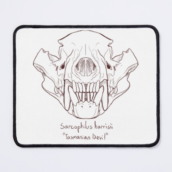 Item preview, Tasmanian devil Skull designed and sold by GrilledRetro.