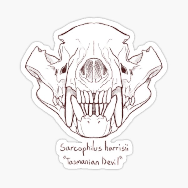 Item preview, Tasmanian devil Skull designed and sold by GrilledRetro.