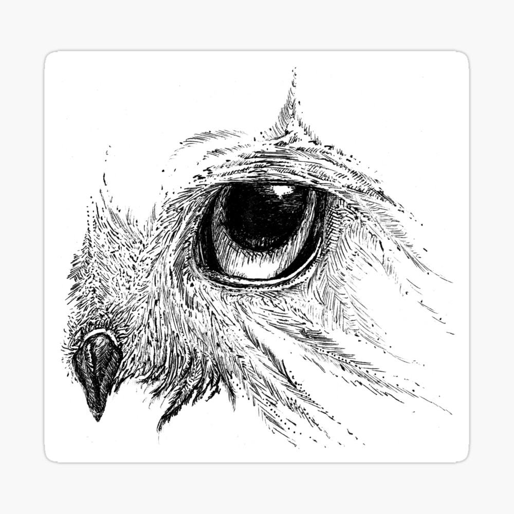 Owl Eye by HecticFox on DeviantArt