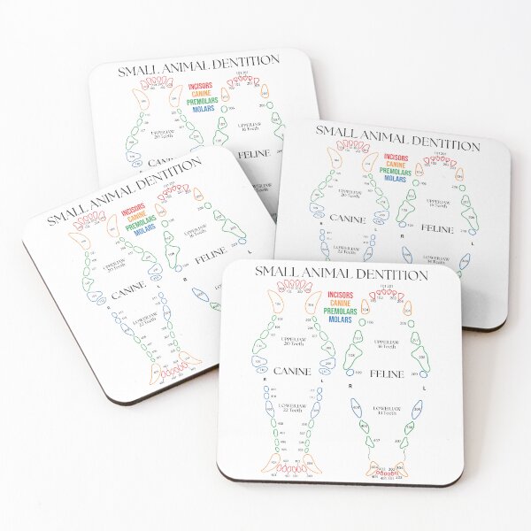 Item preview, Small Animal Dental Chart  designed and sold by introVETed.