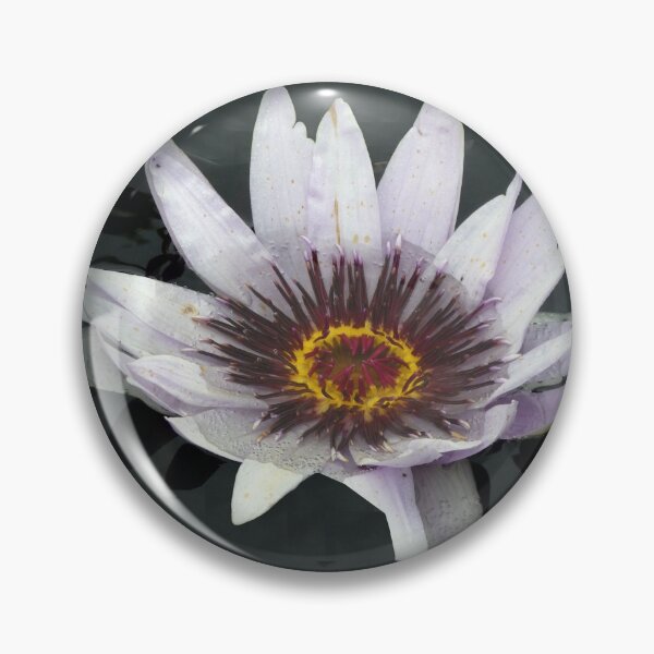 Item preview, Ain't no Fairytale (water lily) designed and sold by AnnexStudios.