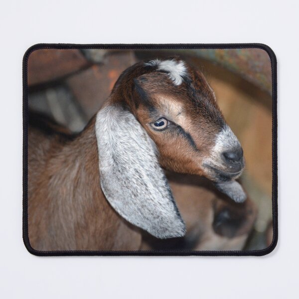 Item preview, Baby Boer Goat designed and sold by Savannah Gibbs.