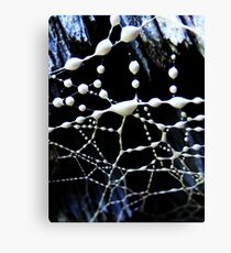 intricate web Canvas Print