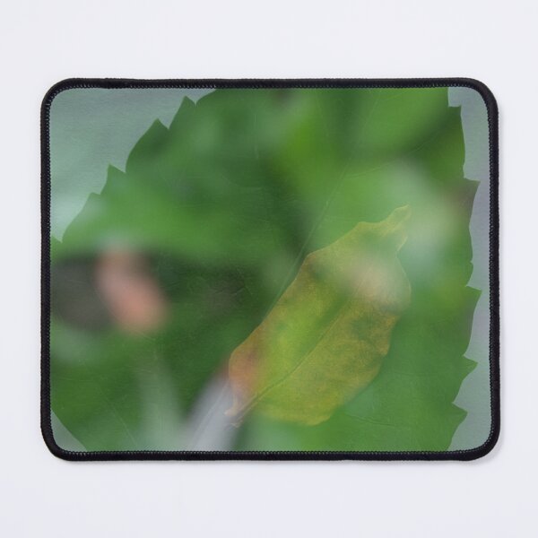 Item preview, green leaf with water drops, leaf under the water designed and sold by pipikijung.