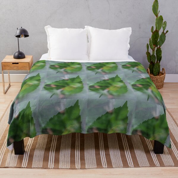 Item preview, green leaf with water drops, leaf under the water designed and sold by pipikijung.