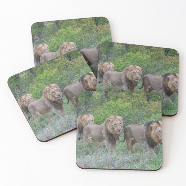 Item preview, Three Lion Brothers walking in line through the hush designed and sold by hwagemaker48.