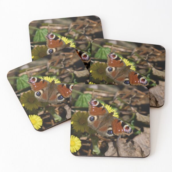 Item preview, Coltsfoot nectar. European peacock designed and sold by Jouko Lehto Photography.