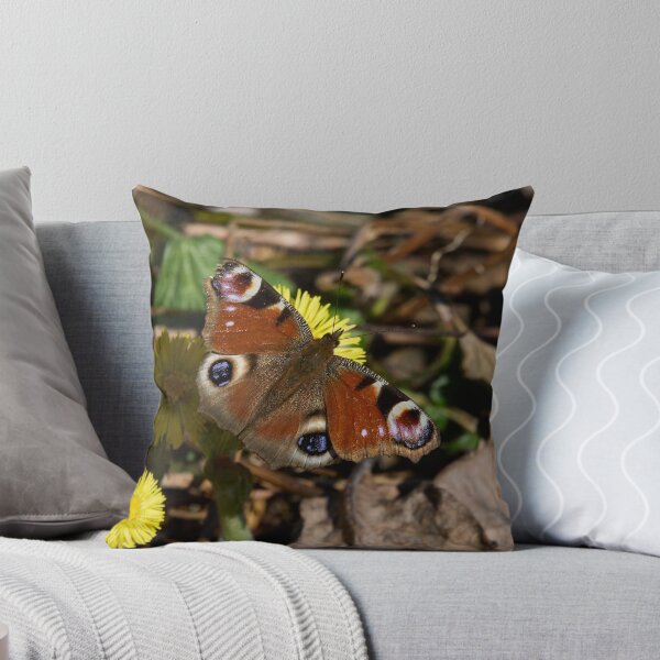 Item preview, Coltsfoot nectar. European peacock designed and sold by Jouko Lehto Photography.