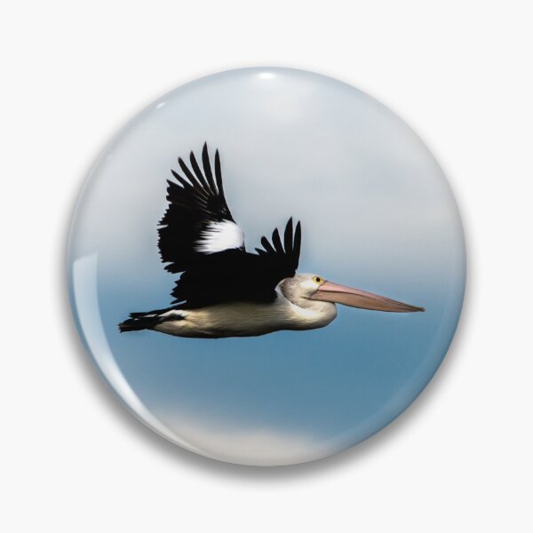 Item preview, Pelican in flight designed and sold by Kate Powick.