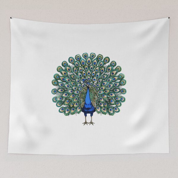 Item preview, Peacock designed and sold by aipolohu.