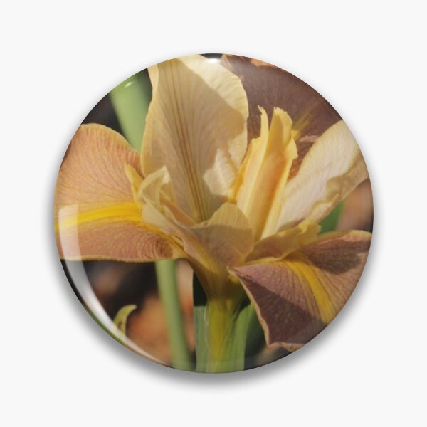 Artikelvorschau, Braune Iris entworfen und verkauft von leahpoznovia.