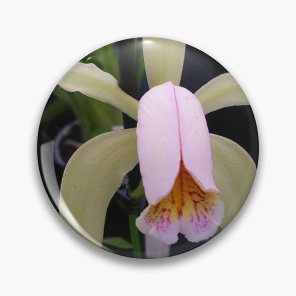 Item preview, Cultivated Orchid designed and sold by lezvee.