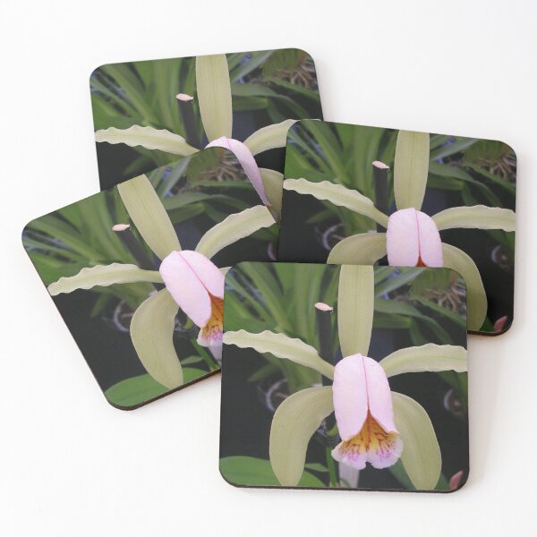 Item preview, Cultivated Orchid designed and sold by lezvee.