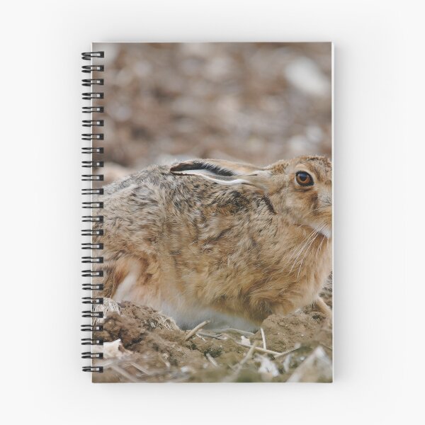 Item preview, A Brown Hare enjoying warm soil designed and sold by Wildlifespotter.
