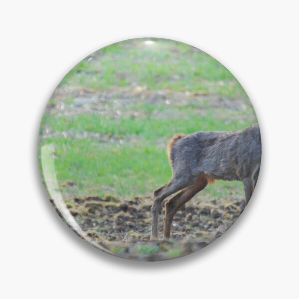 Item preview, A Buck Roe Deer designed and sold by Wildlifespotter.
