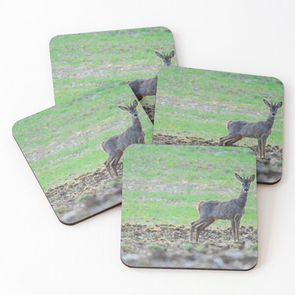 Item preview, A Buck Roe Deer designed and sold by Wildlifespotter.