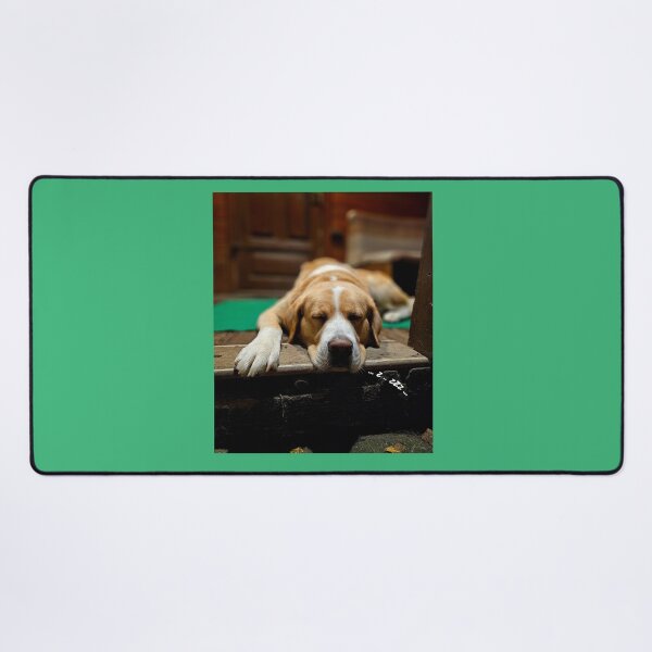 Item preview, BIG DOG ASTER designed and sold by MargoGallery.