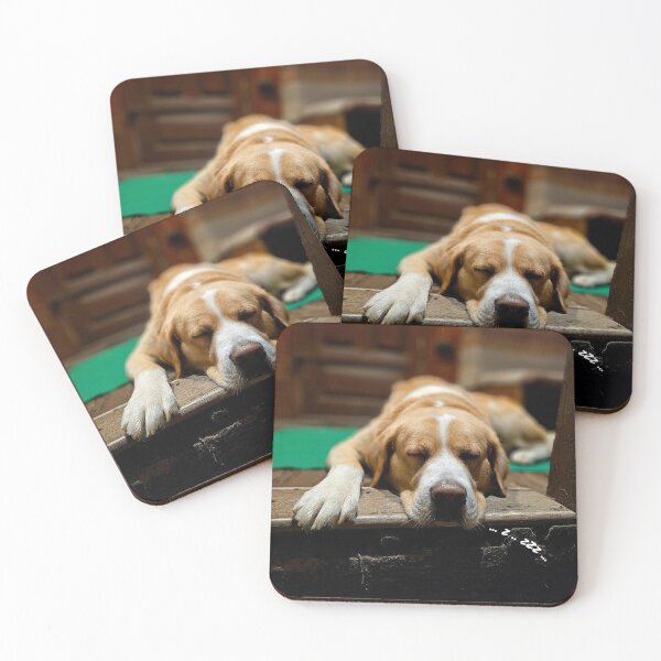 Item preview, BIG DOG ASTER designed and sold by MargoGallery.