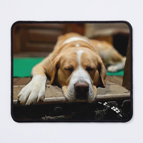Item preview, BIG DOG ASTER designed and sold by MargoGallery.