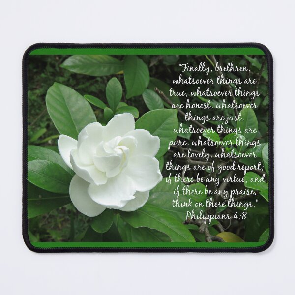 Item preview, Philippians 4:8 Scripture with Gardenia designed and sold by Linda Walsh.