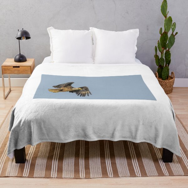 Item preview, Bald Eagle in Flight at Sunrise designed and sold by Puttaswamy Ravishankar.