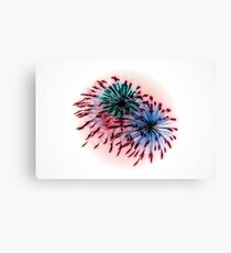 HighKey Firework Canvas Print