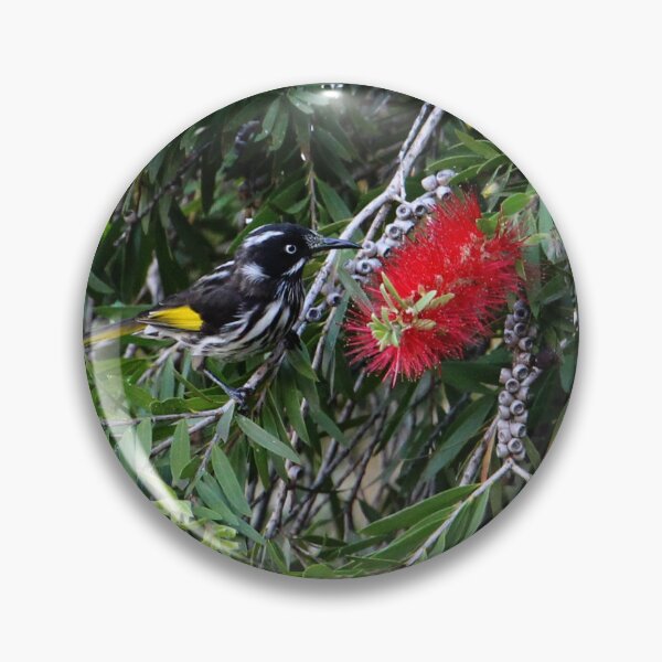 Item preview, New Holland Honeyeater designed and sold by LoJaRuPhotos.