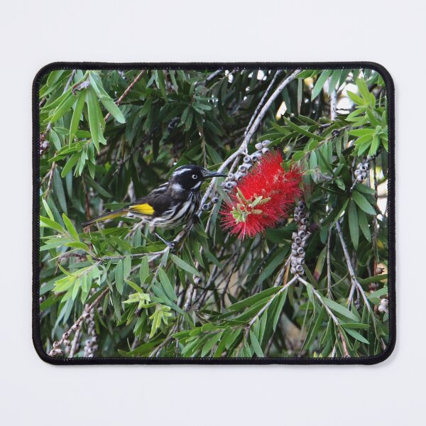 Item preview, New Holland Honeyeater designed and sold by LoJaRuPhotos.