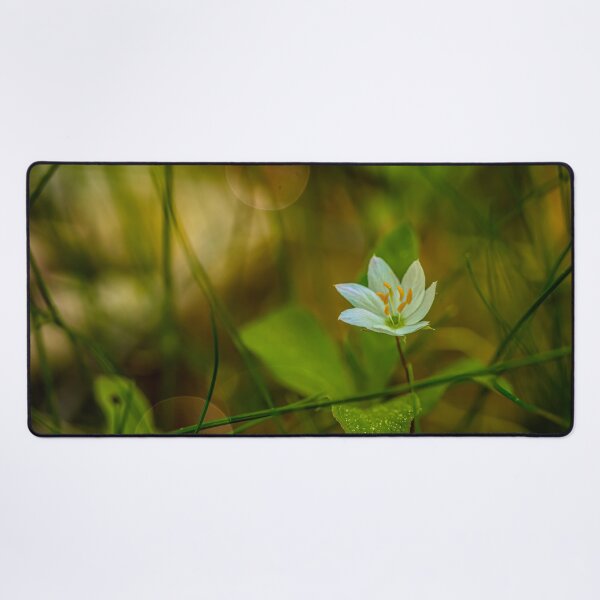 Item preview, Wild flower designed and sold by Veikko  Suikkanen.