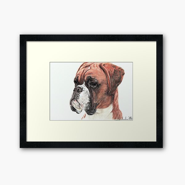 Boxer Framed Art Print