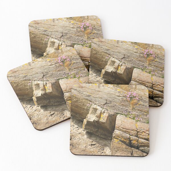 Item preview, Coastal Blooms Rathmullan Donegal designed and sold by eddiebarronshop.