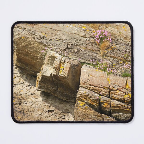 Item preview, Coastal Blooms Rathmullan Donegal designed and sold by eddiebarronshop.
