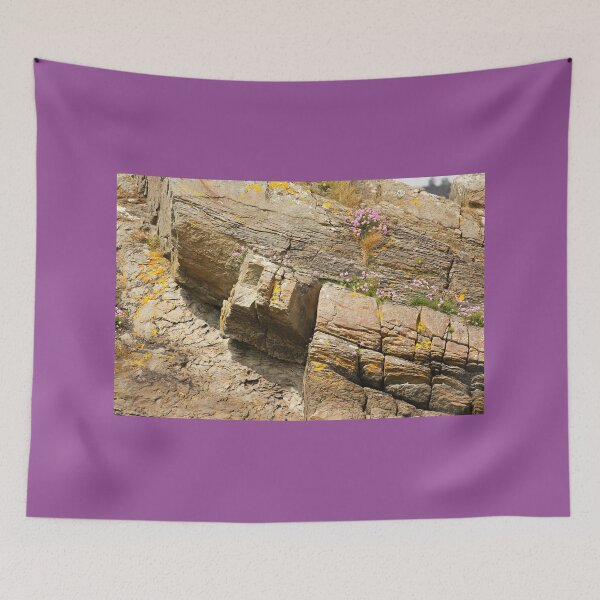 Item preview, Coastal Blooms Rathmullan Donegal designed and sold by eddiebarronshop.