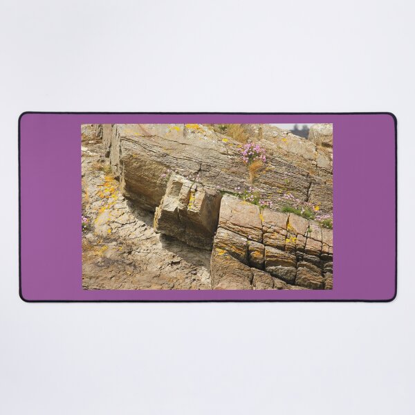 Item preview, Coastal Blooms Rathmullan Donegal designed and sold by eddiebarronshop.