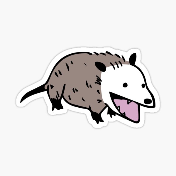 Possum doodle Sticker