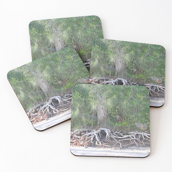 Item preview, Tree roots designed and sold by Doug Cliff.