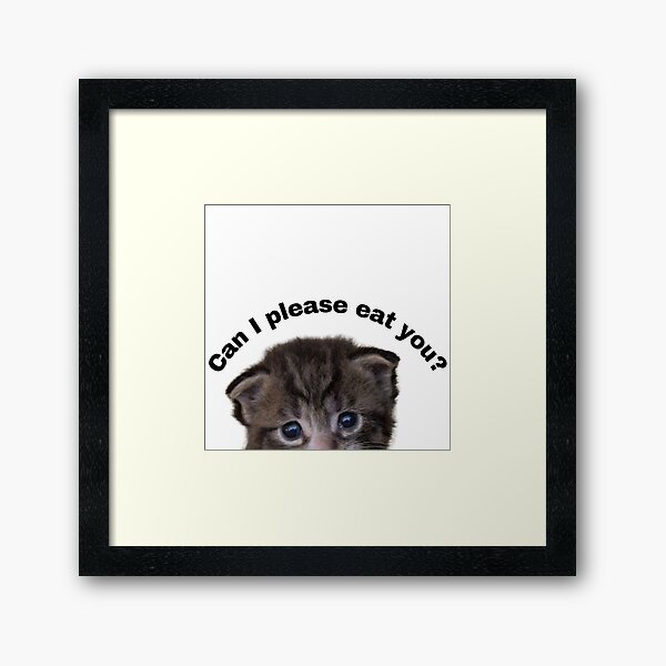 Item preview, Can I please eat you cat meme designed and sold by KittenKart.