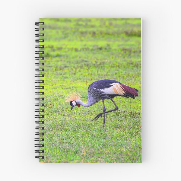 Item preview, Tanzania. Ngorongoro Conservation Area. Grey Crowned Crane. designed and sold by vadim19.