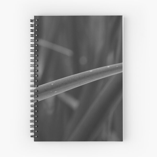 Item preview, A long blade of grass monochrome designed and sold by FoxGlove5.