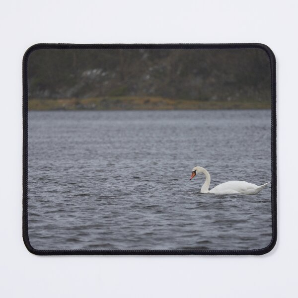 Item preview, Cygnus olor designed and sold by Norwegian Outdoors.