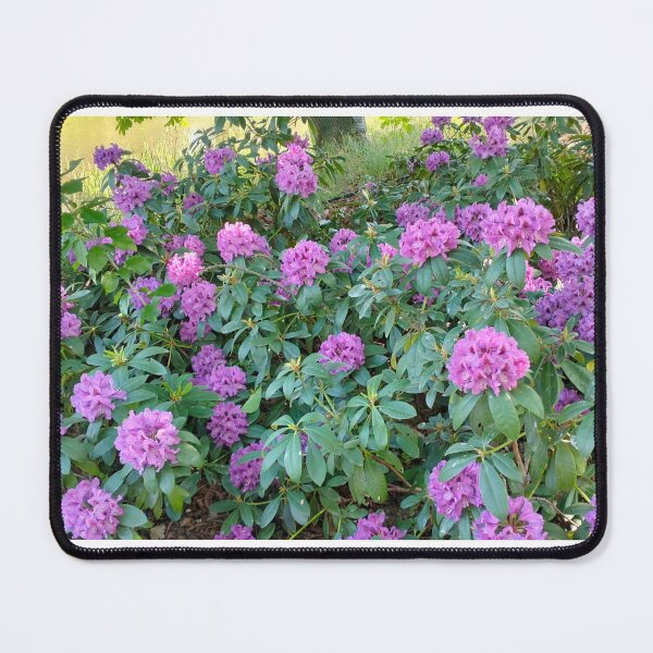 Item preview, Violet flowers in spring park designed and sold by lusiakotowska.