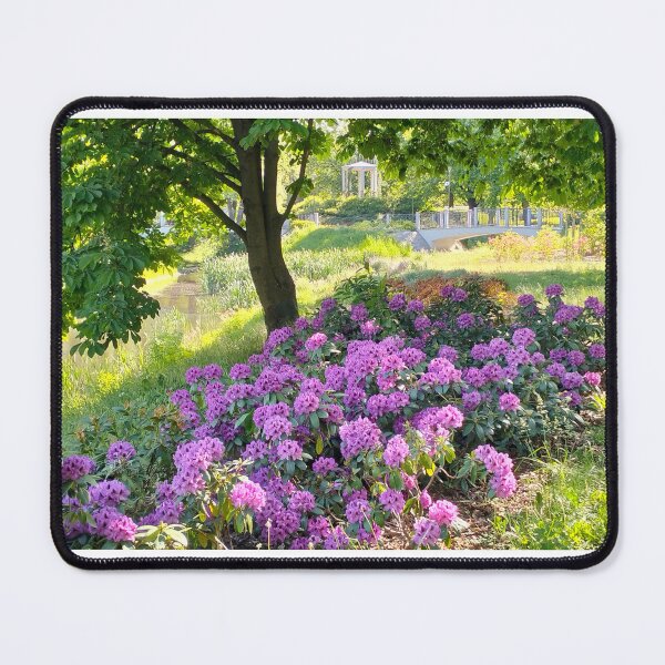 Item preview, Spring scenery in park designed and sold by lusiakotowska.