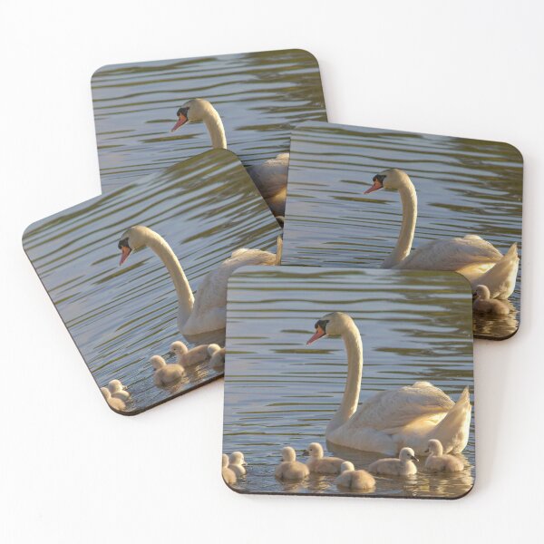 Item preview, Mother Swan and Cygnet Early Morning Light designed and sold by CarolRMontoya.