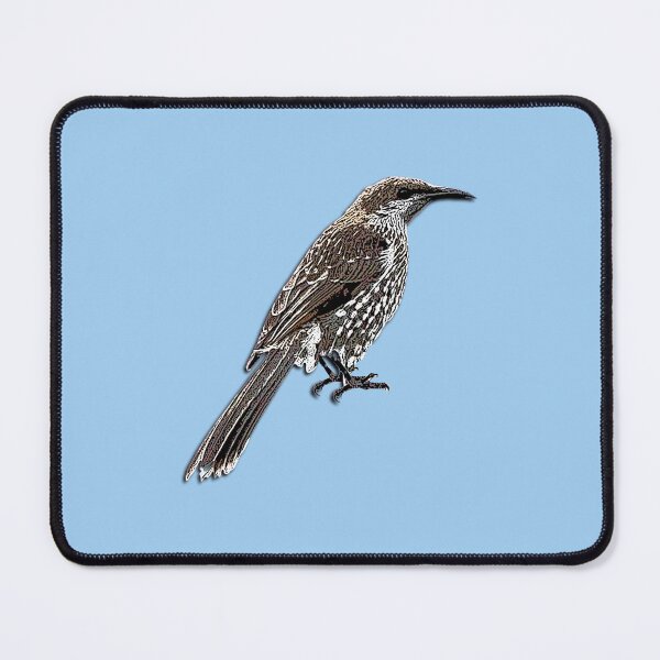 Item preview, Western Wattlebird Color Design  designed and sold by designsasstultd.