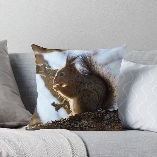 Item preview, Shadow side. Red squirrel designed and sold by Jouko Lehto Photography.