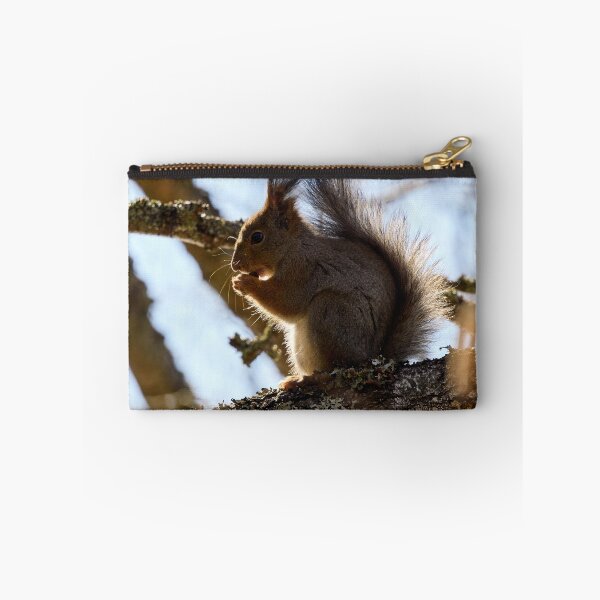 Item preview, Shadow side. Red squirrel designed and sold by Jouko Lehto Photography.