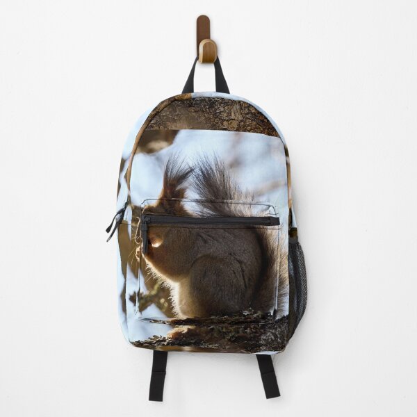 Item preview, Shadow side. Red squirrel designed and sold by Jouko Lehto Photography.