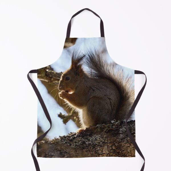 Item preview, Shadow side. Red squirrel designed and sold by Jouko Lehto Photography.