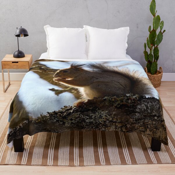 Item preview, Shadow side. Red squirrel designed and sold by Jouko Lehto Photography.